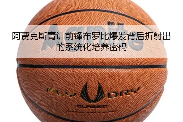 img_1780609545957_777_1_261.jpg
